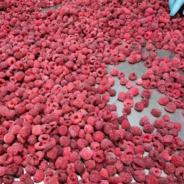 sweet-frozen-raspberries
