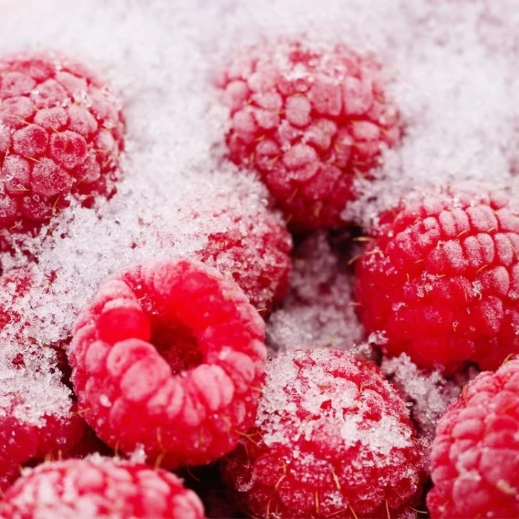 frozen-fruit-raspberries