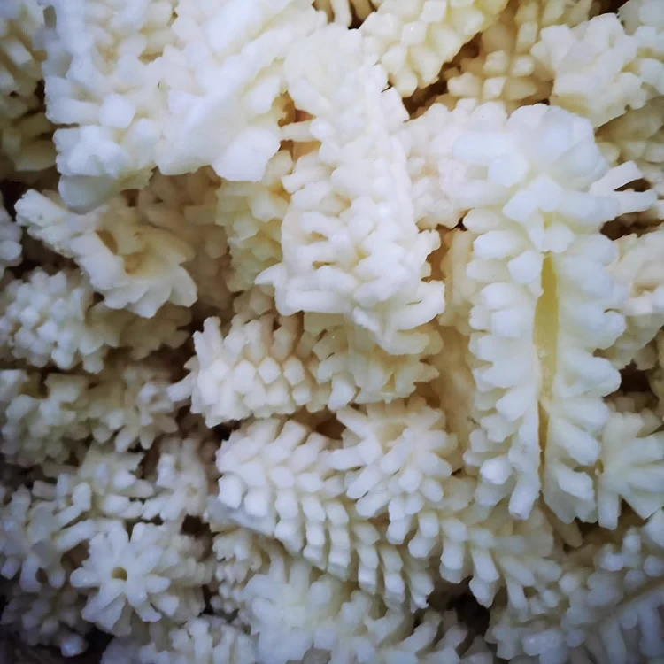 flower cut squid